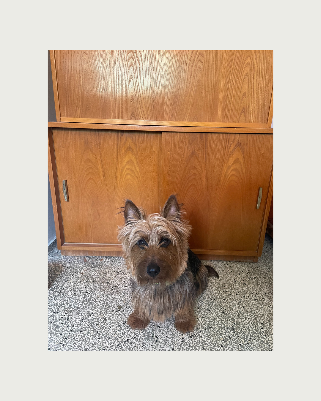 Desk from the 60s - Deutsche Werkstätten Hellerau