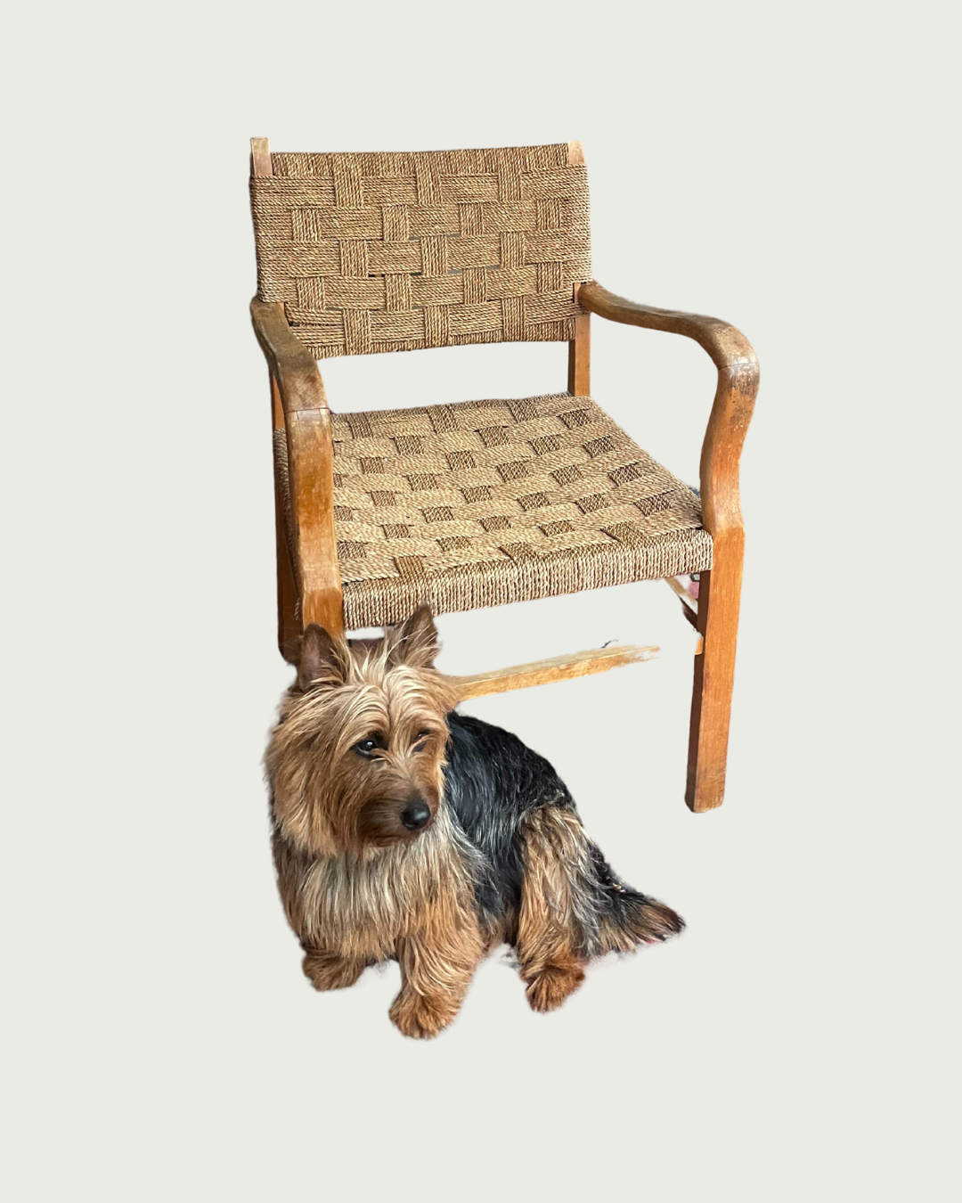 Bauhaus chairs in Erich Dieckmann style