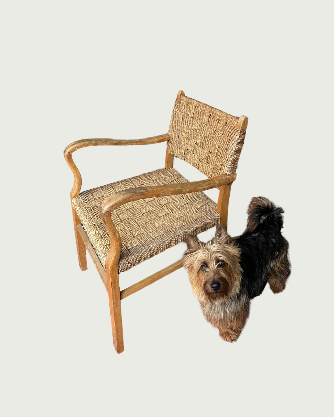 Bauhaus chairs in Erich Dieckmann style